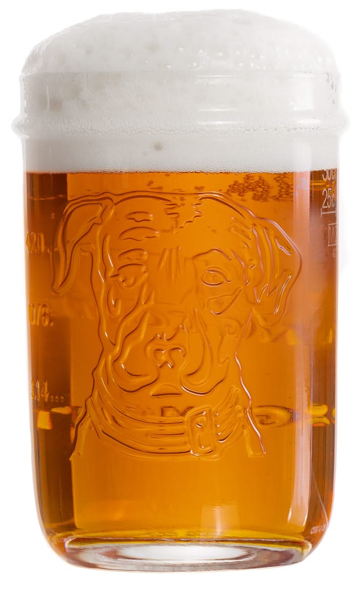 Ensemble de verres a biere Lagunitas - Verre a biere - 300 ml - 6 pieces