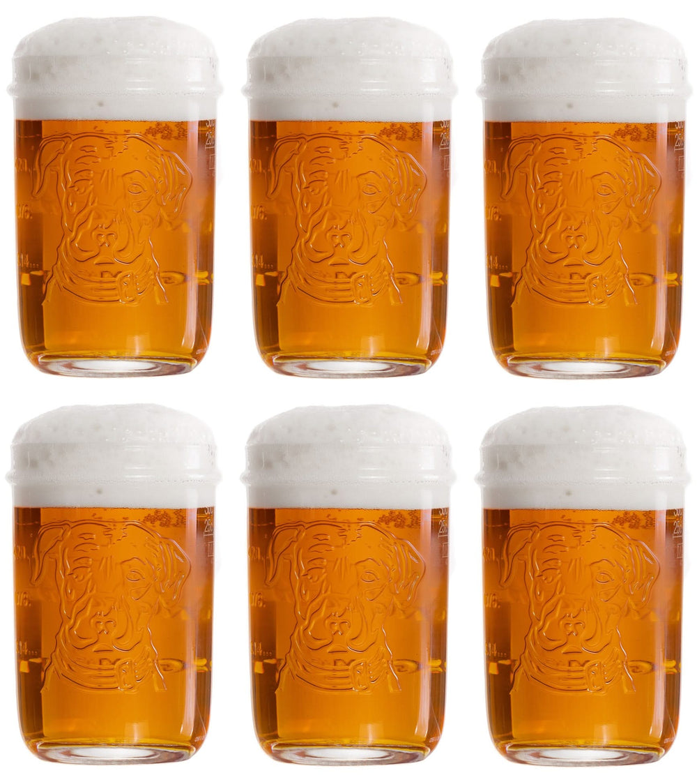 Ensemble de verres a biere Lagunitas - Verre a biere - 300 ml - 6 pieces