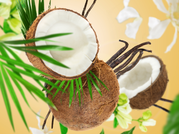 Set de recharges Maison Berger - Autoparfum - Coconut Monoi - 30 ml - 2 pièces