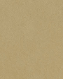 Ensemble de sets de table LIND DNA - en cuir - Nupo - 44 x 37 cm - 2 pièces