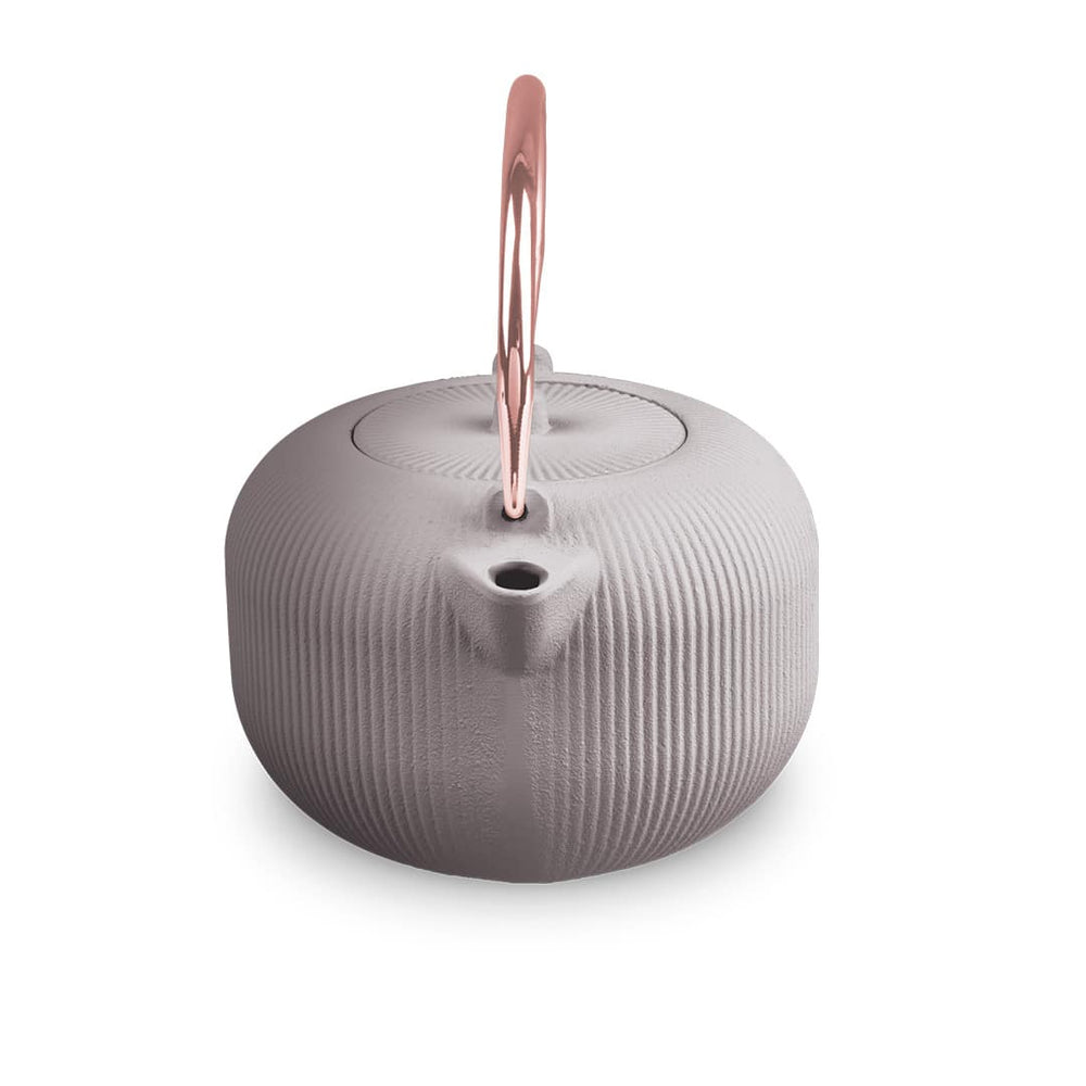 Théière BerlingerHaus avec filtre en inox – Taupe – fonte – 1 litre
