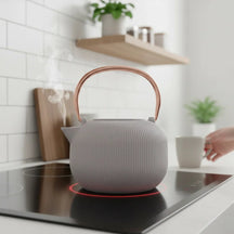 Théière BerlingerHaus avec filtre en inox – Taupe – fonte – 1 litre