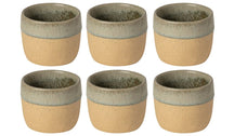 Costa Nova Tasses à café Arenito Sage Green 200 ml - 6 pièces