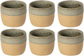 Costa Nova Tasses Arenito Sage Green 360 ml - 6 pièces
