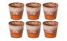 Costa Nova Espresso Tasses Casafina Poterie Caramel-Latte 80 ml - 6 pièces