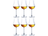 Set de verres a grappa Chef & Sommelier - Open Up - 165 ml - 6 pièces