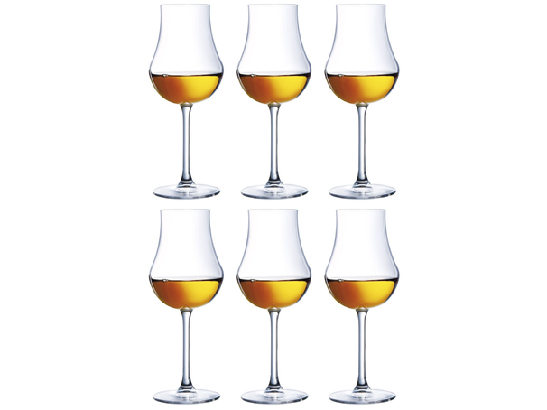 Set de verres a grappa Chef & Sommelier - Open Up - 165 ml - 6 pièces
