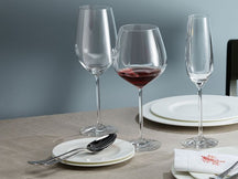 Set de verres a vin Schott Zwiesel - Verre bourgogne - 740 ml - 4 pieces