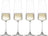 Ensemble de verres à champagne Schott Zwiesel - MioVino - 260 ml - 4 pièces