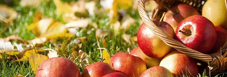 Compote de pommes fraîche en un clin d'œil, sans prise de tête