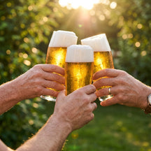 Cookinglife Verres à bière Willybecher 330 ml - 12 pièces