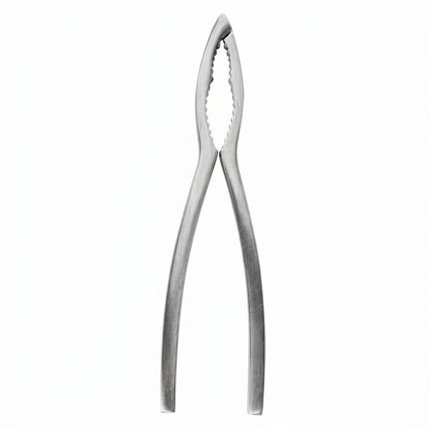 Crafts La Marée Pince à homard Inox - 15,7 cm