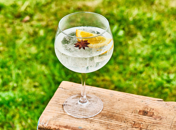 Ensemble de verres a gin tonic Cosy&Trendy - Gin tonic - 700 ml - 6 pièces