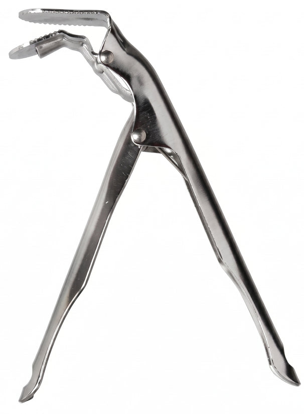 Keij Kamado Pince à Grille / Lifter de Grille