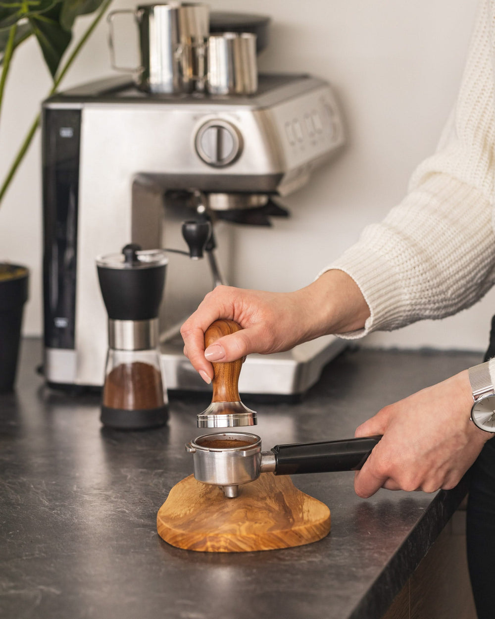 Tampon Barista Jay Hill - en bois de rose - Coffee Barista - ø 5 cm