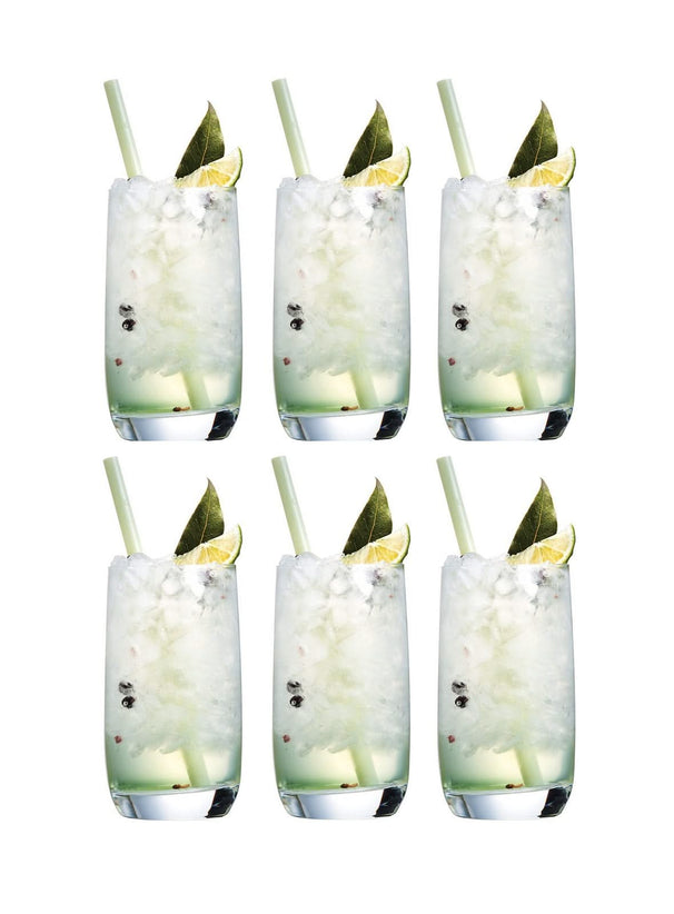 Set de verres long drink Chef & Sommelier - Gobelet - Vigne - 330 ml - 6 pièces
