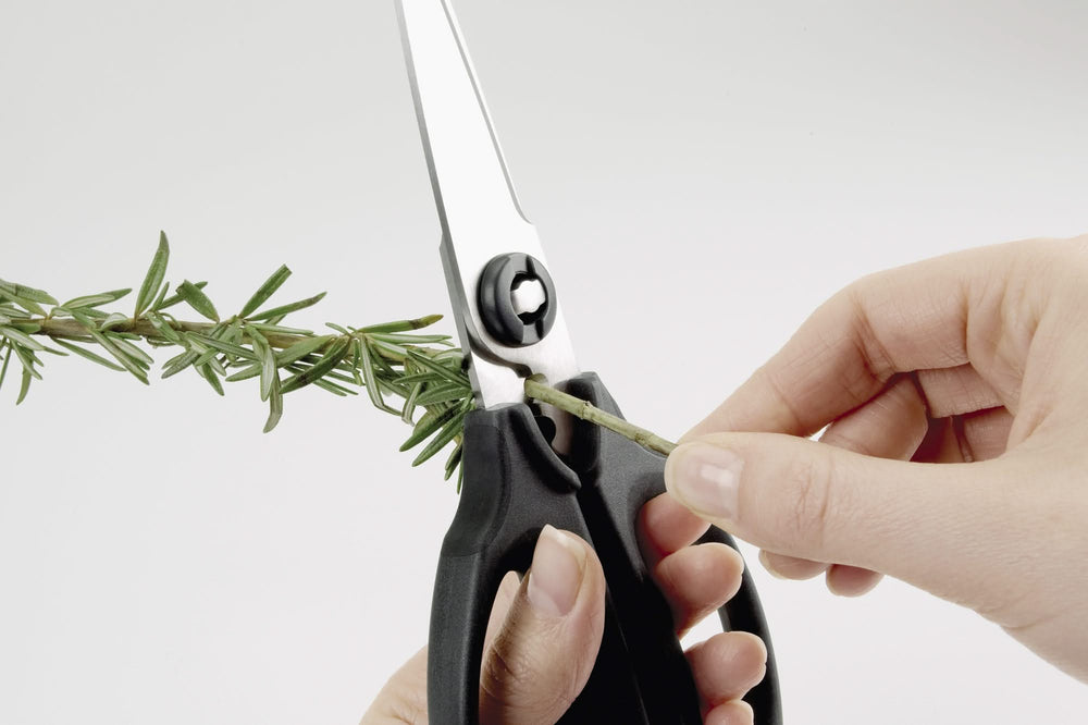 Ciseaux de cuisine OXO - Ciseaux a herbes - Good Grips - 22 cm