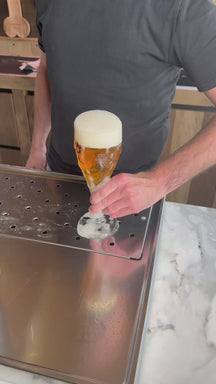 Ensemble de verres a biere Brugse Zot - Verres a biere - 330 ml - 6 pièces