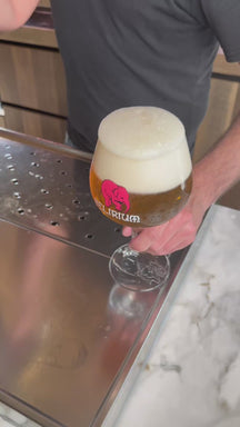 Set de verres à bière Delirium - Verres sur pied - Pub Surf - 33 cl - 2 pièces