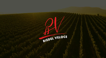 Set de verres a vin Riedel - Verres a champagne - Veloce - 327 ml - 2 pieces